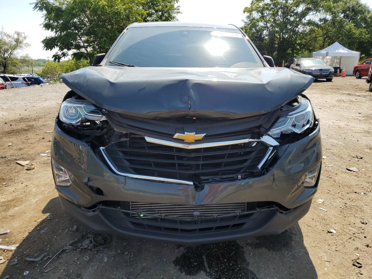 Lot #2977079042 2020 CHEVROLET EQUINOX LS