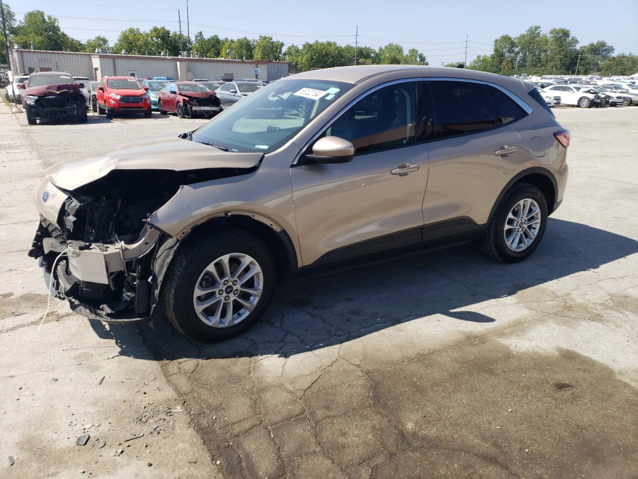  Salvage Ford Escape