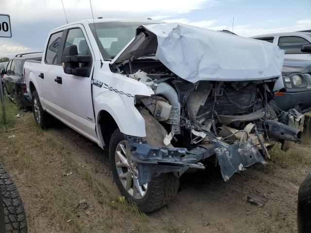 2017 FORD F150 SUPER - 1FTEW1EG2HKD27693