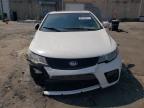 KIA FORTE EX photo