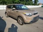 KIA SOUL + photo