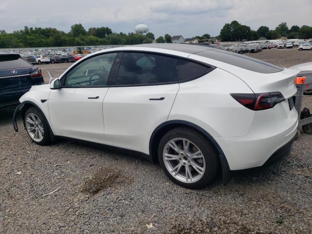 2020 TESLA MODEL Y - 5YJYGDEF9LF005786