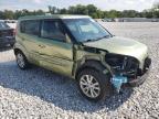 KIA SOUL + photo