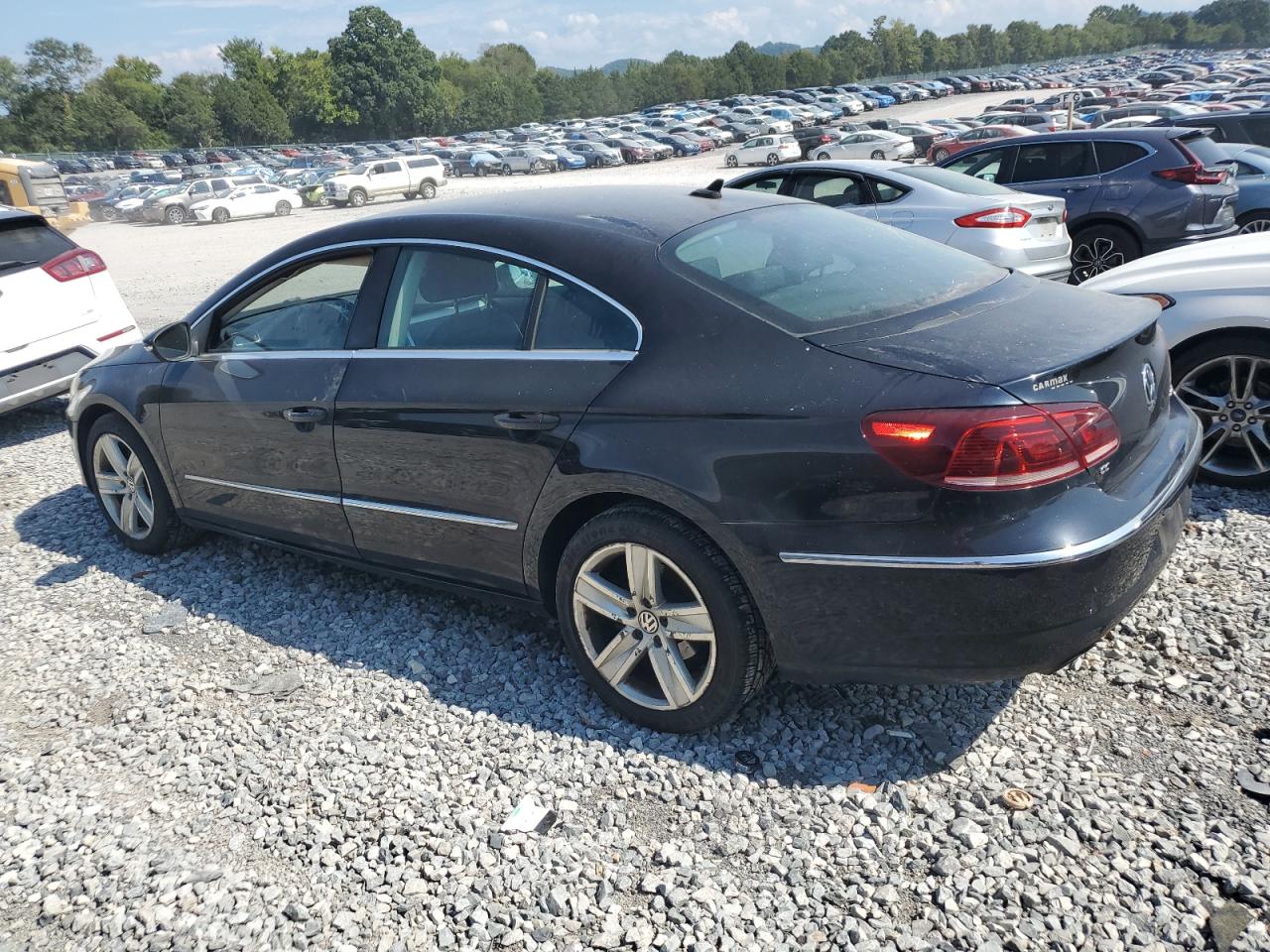 Lot #2786870434 2013 VOLKSWAGEN CC SPORT