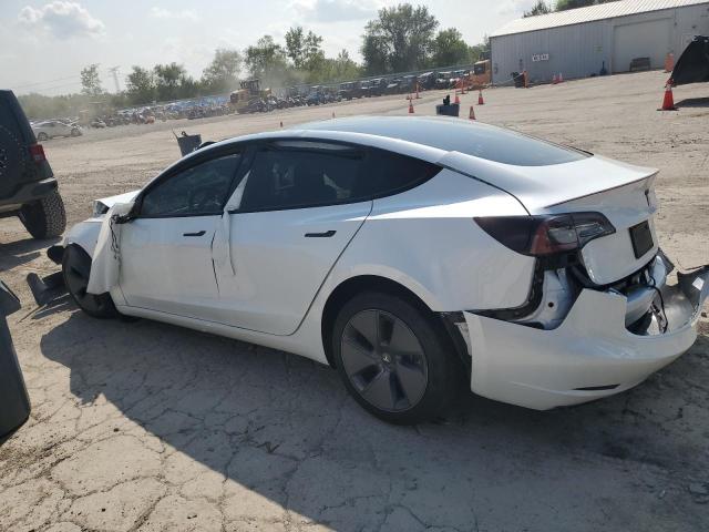 2023 TESLA MODEL 3 - 5YJ3E1EA1PF558487