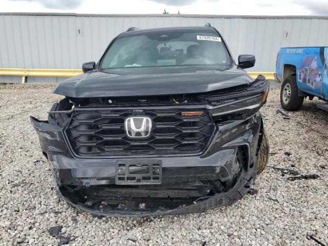 2024 HONDA PILOT TRAI 5FNYG1H61RB041362