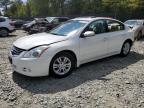 NISSAN ALTIMA BAS photo