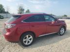 LEXUS RX 350 photo