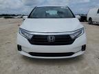 HONDA ODYSSEY EL photo