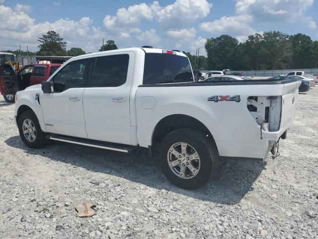 2022 FORD F150 SUPER - 1FTFW1ED8NFA73969