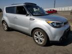 KIA SOUL + photo