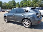 LEXUS RX 350 photo