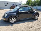 VOLKSWAGEN NEW BEETLE photo