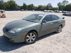 LEXUS ES 330 photo