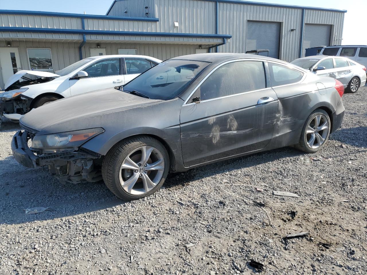 Lot #2786318803 2011 HONDA ACCORD EXL