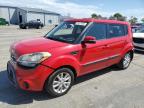 KIA SOUL + photo