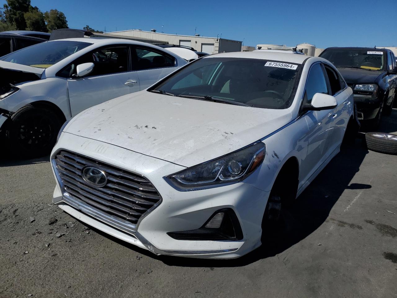 Hyundai Sonata 2019 Eco Turbo, SE