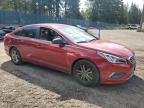 HYUNDAI SONATA SE photo