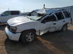 Lot #2961970206 2002 CHEVROLET TRAILBLAZE