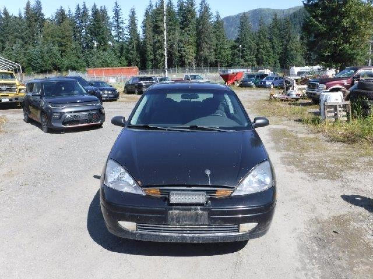 Lot #2826394116 2003 FORD FOCUS ZX3