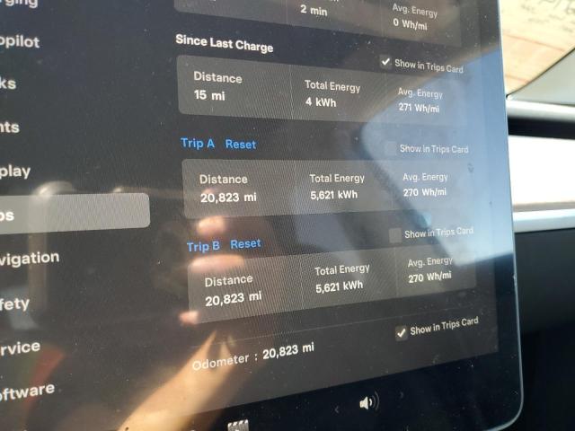 2023 TESLA MODEL Y - 7SAYGDEF9PF884697