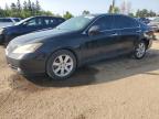 LEXUS ES 350 photo