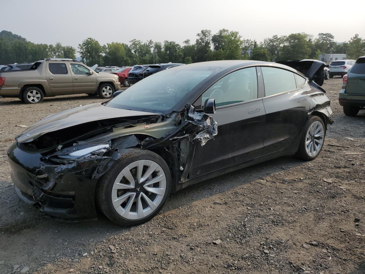 Tesla Model 3 2022 