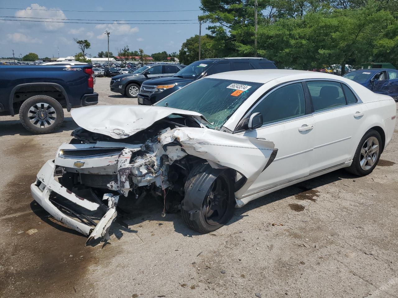 Lot #2766344388 2009 CHEVROLET MALIBU 1LT