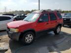 FORD ESCAPE XLT photo