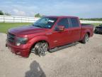 FORD F150 SUPER photo