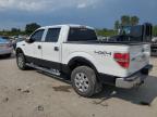 FORD F150 SUPER photo