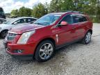 CADILLAC SRX PERFOR photo