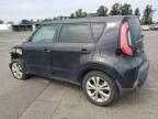 KIA SOUL + photo