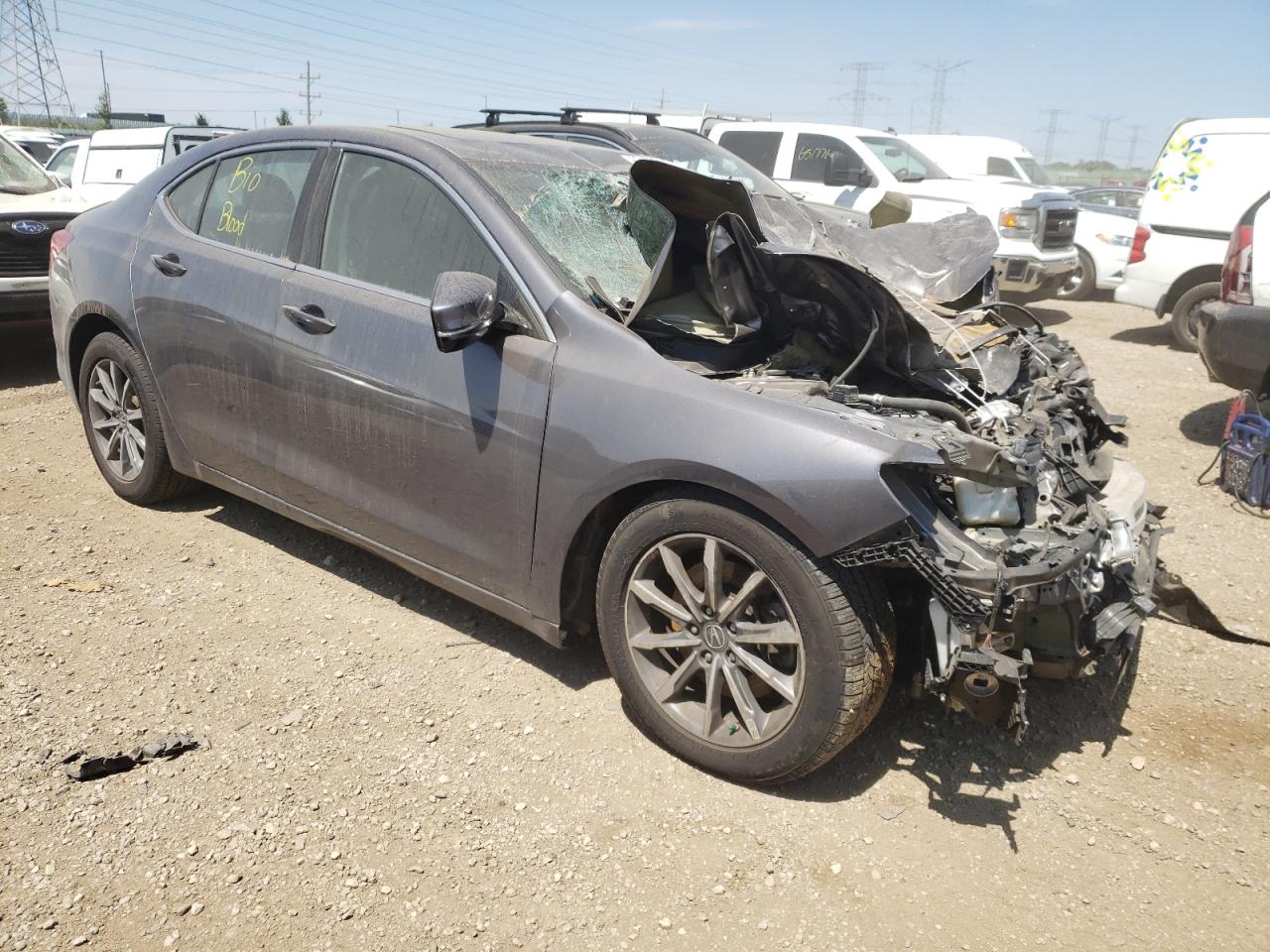 Lot #2952831865 2020 ACURA TLX