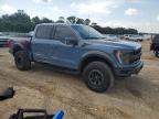 FORD F150 RAPTO photo