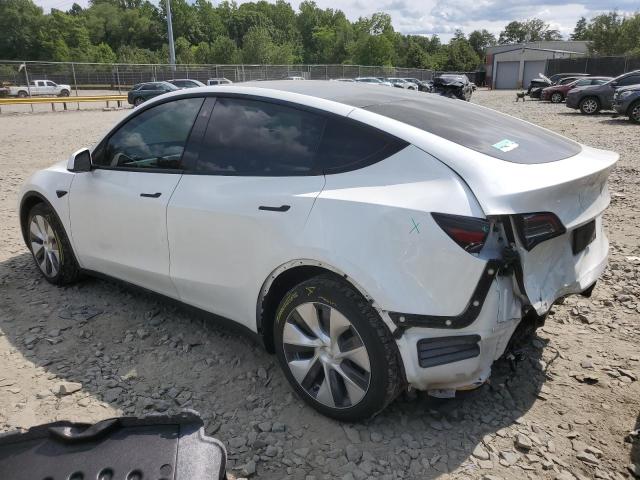 2021 TESLA MODEL Y - 5YJYGDEEXMF200224