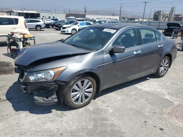 Vin: 1hgcp3f86ba008772, lot: 69036024, honda accord exl 2011 img_1