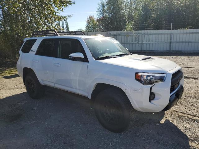 2023 TOYOTA 4RUNNER SE - JTELU5JR9P6157024