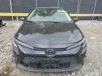 Lot #3023915248 2020 TOYOTA COROLLA LE