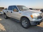 FORD F150 SUPER photo