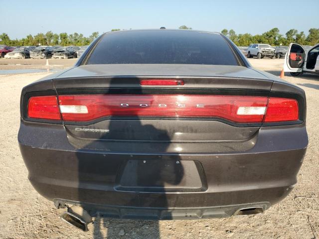 VIN 2C3CDXHG2DH647596 2013 Dodge Charger, Sxt no.6