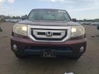 HONDA PILOT EXL photo