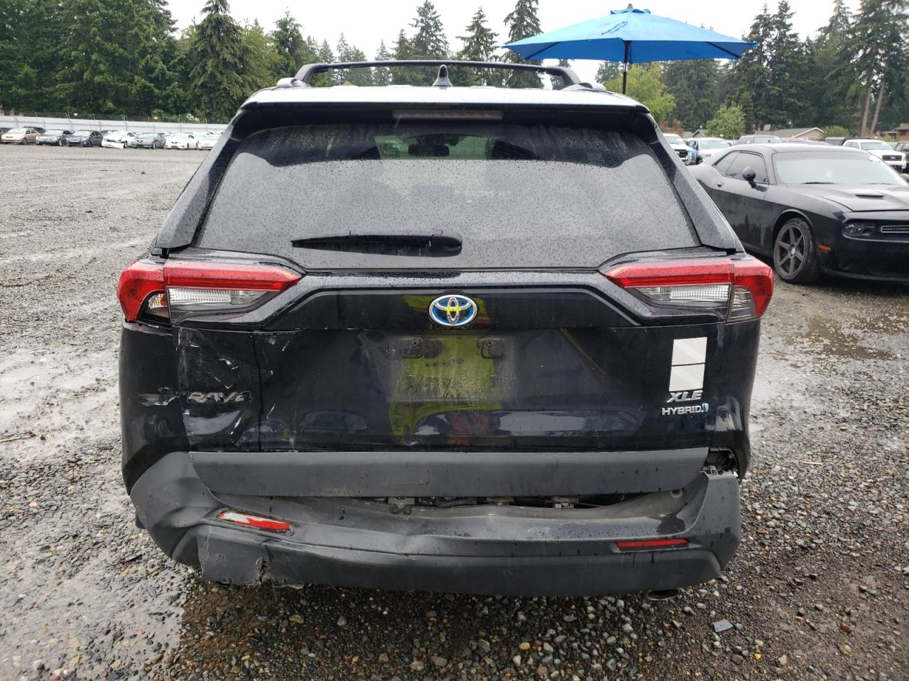 Lot #2993728150 2021 TOYOTA RAV4 XLE