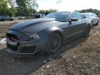 Lot #3023908269 2013 FORD MUSTANG