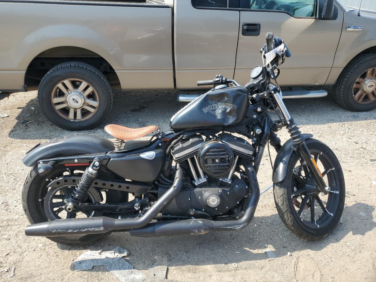 Harley Davidson XL883N / IRON 883 2017 