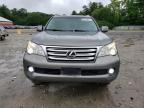 LEXUS GX 460 photo