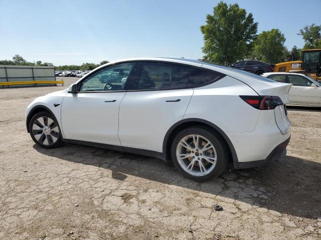 2023 TESLA MODEL Y - 7SAYGAEE6PF795434