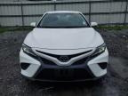 TOYOTA CAMRY L photo