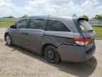 HONDA ODYSSEY LX снимка