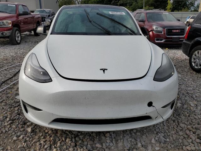 2022 TESLA MODEL Y - 7SAYGAEE0NF521885